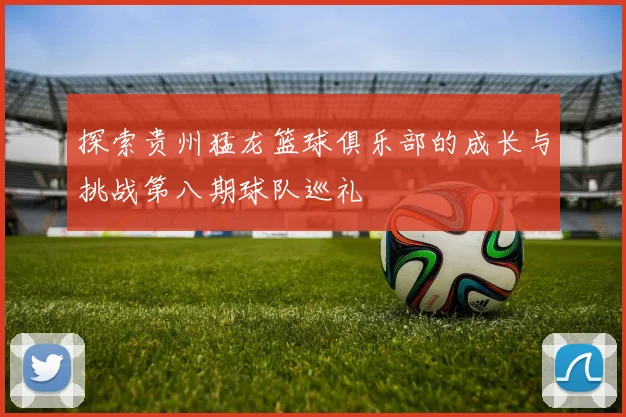 探索贵州猛龙篮球俱乐部的成长与挑战第八期球队巡礼