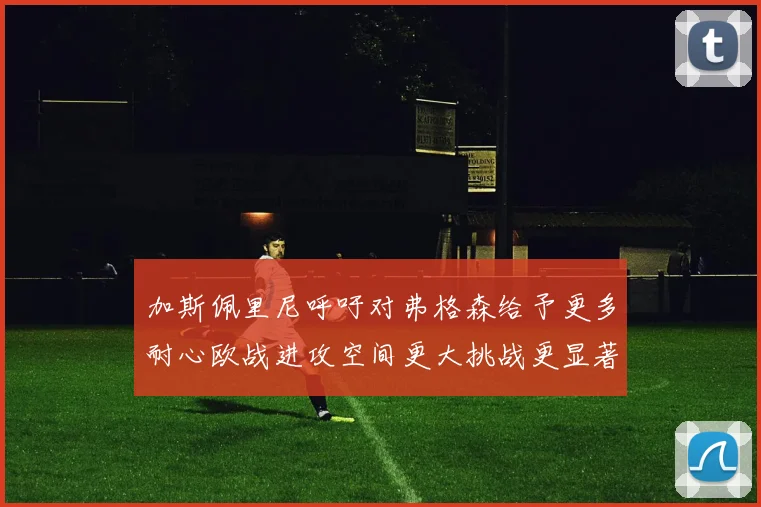 加斯佩里尼呼吁对弗格森给予更多耐心欧战进攻空间更大挑战更显著
