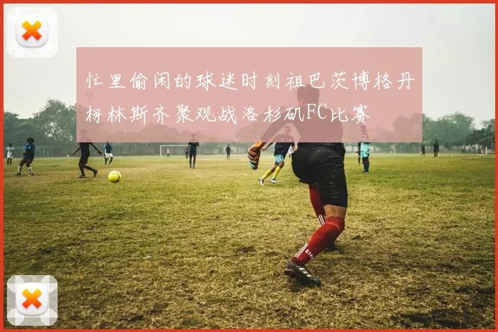 忙里偷闲的球迷时刻祖巴茨博格丹柯林斯齐聚观战洛杉矶FC比赛