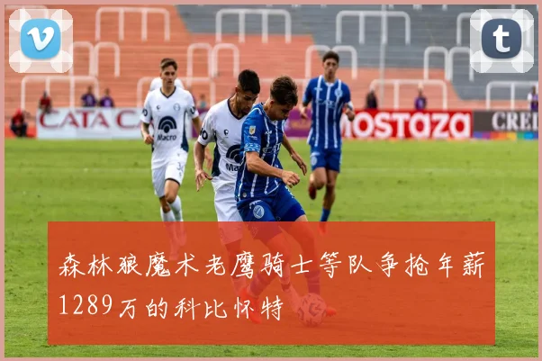 森林狼魔术老鹰骑士等队争抢年薪1289万的科比怀特