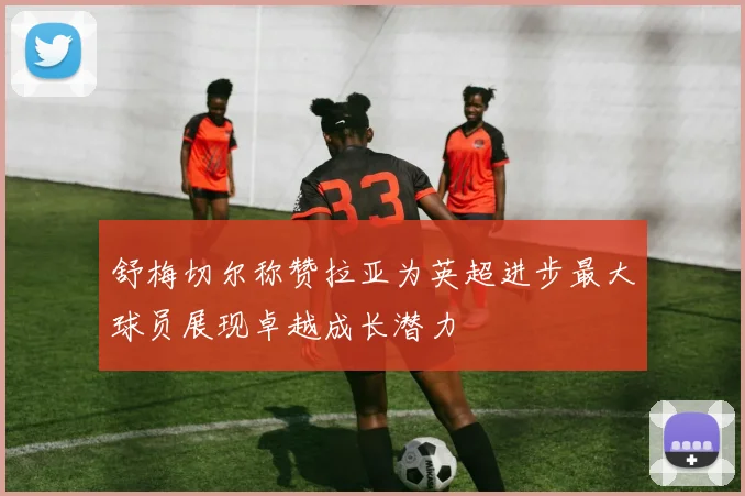 舒梅切尔称赞拉亚为英超进步最大球员展现卓越成长潜力
